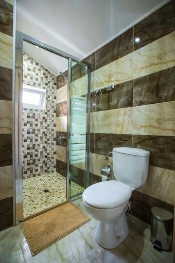 Фото номера Номер-студио с диваном-кроватью Гостевой дом Guest House Holiday г. Огняново 8